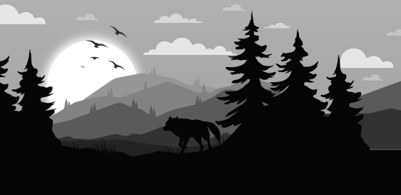 BACKROUND 3